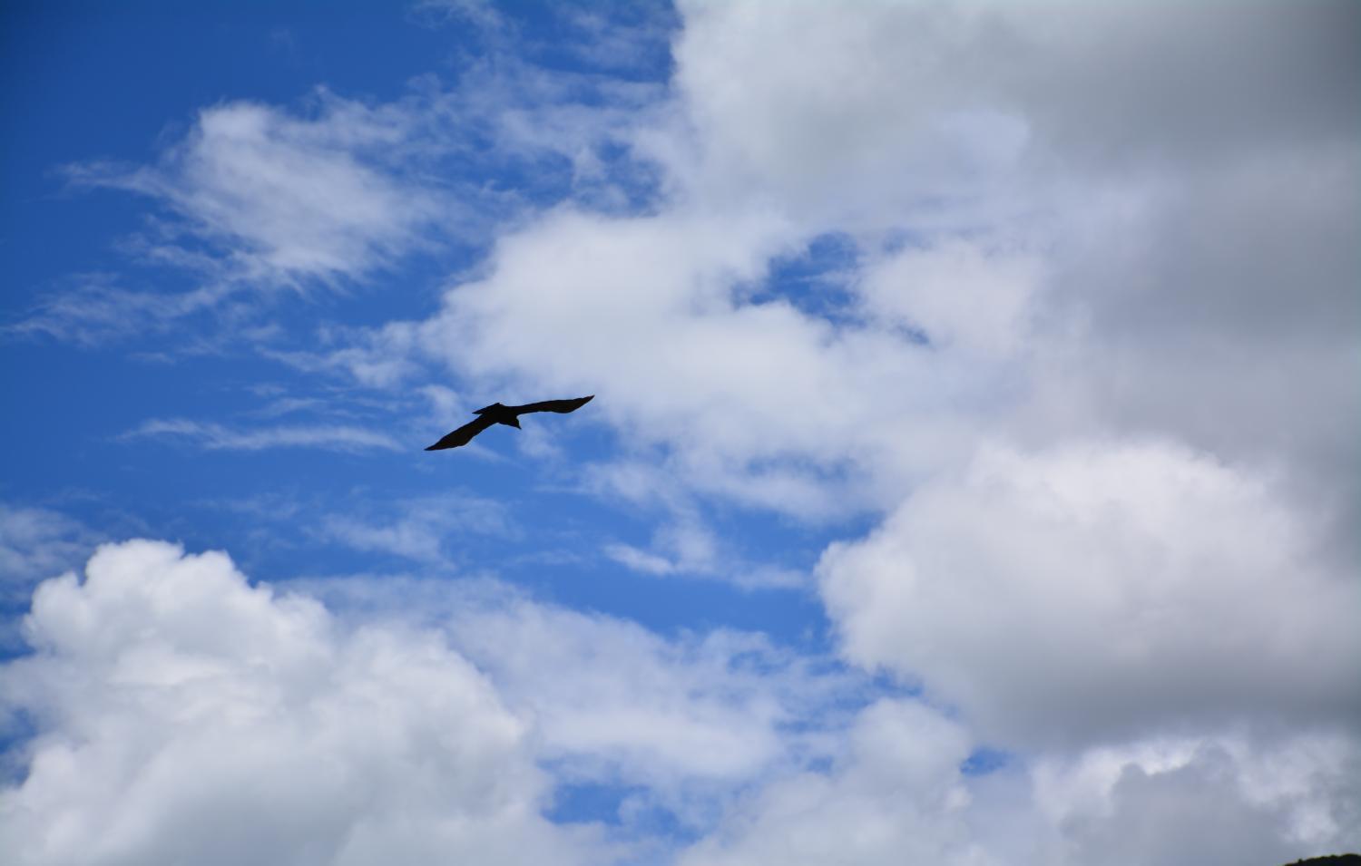 醫療器械行業(yè)，你必須要知道的小知識