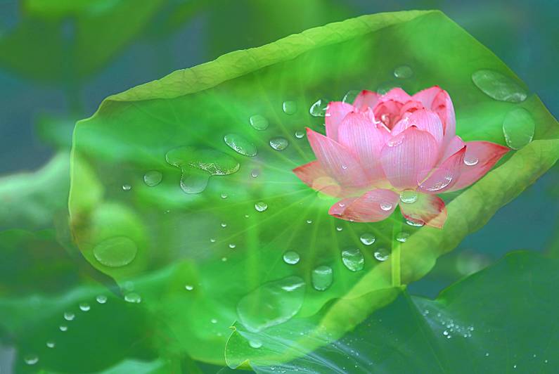 醫療器械網(wǎng)：失眠該怎么辦？