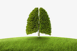 2個(gè)月寶寶可以做霧化嗎？